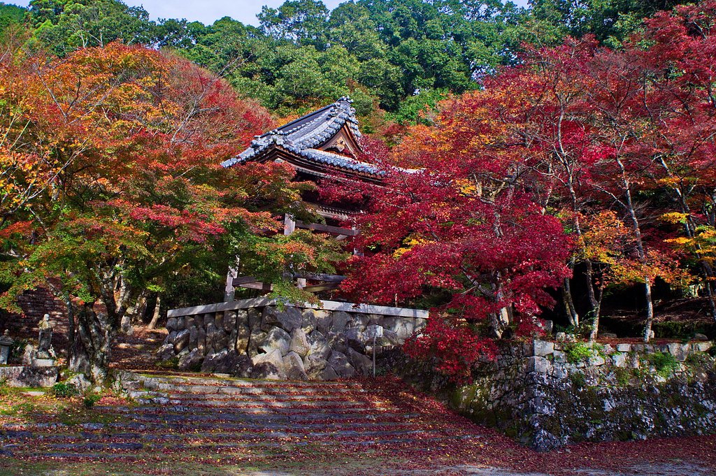 東近江市　東光寺