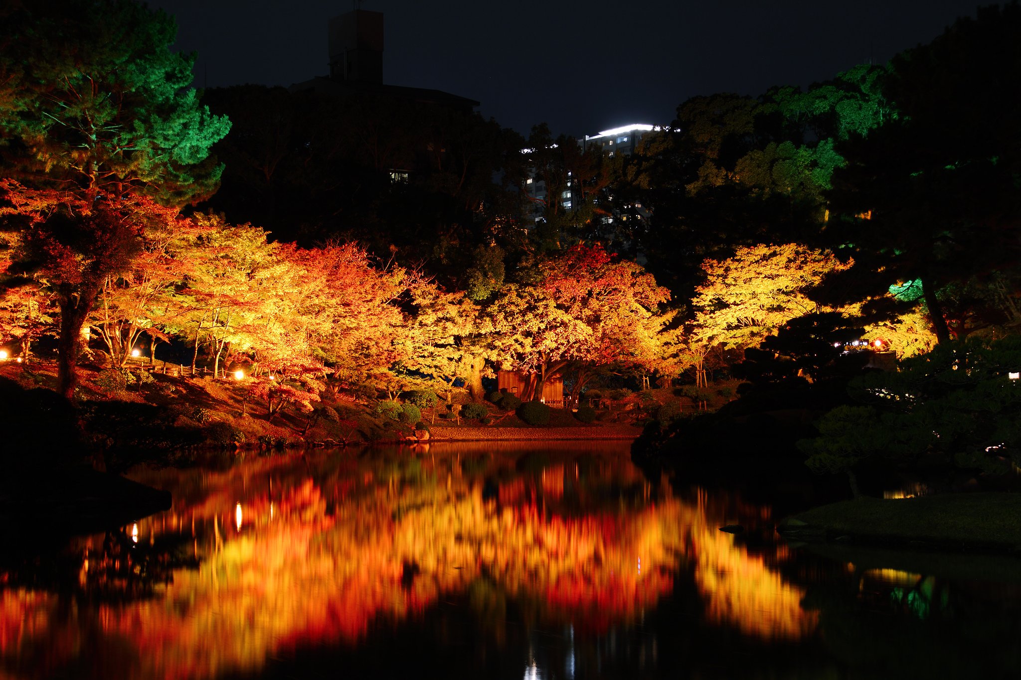 縮景園紅葉ライトアップ