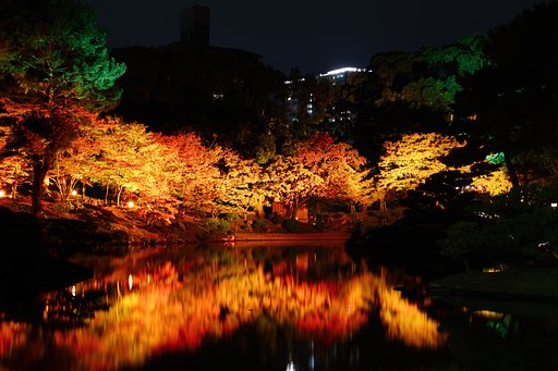 縮景園紅葉ライトアップ