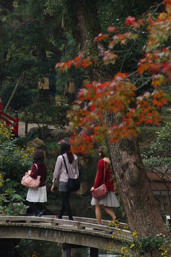 紅葉と年頃の女性