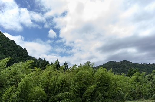 SIGMA 10-20mm F4-5.6 