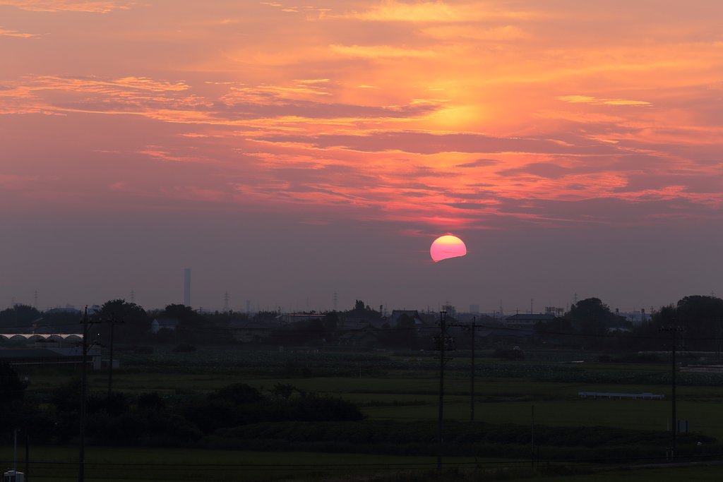 朝がきた
