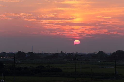 朝がきた