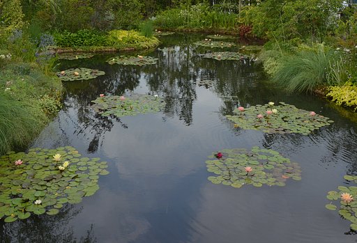 屋上庭園