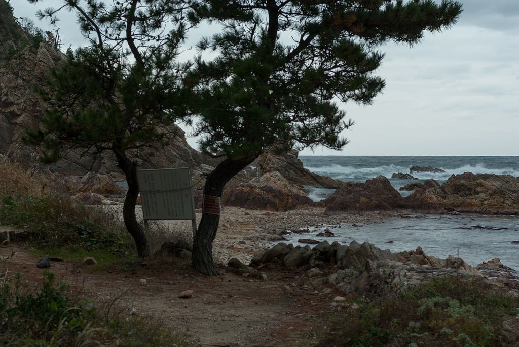 城原海岸に降りた辺り。