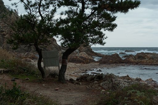 城原海岸に降りた辺り。