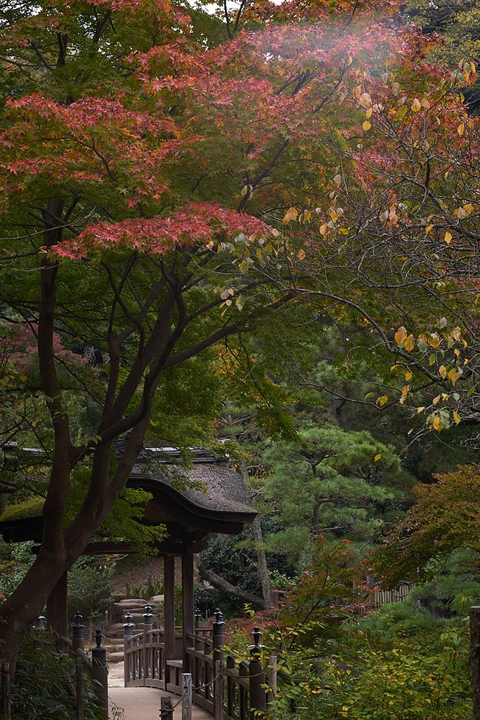 三渓園