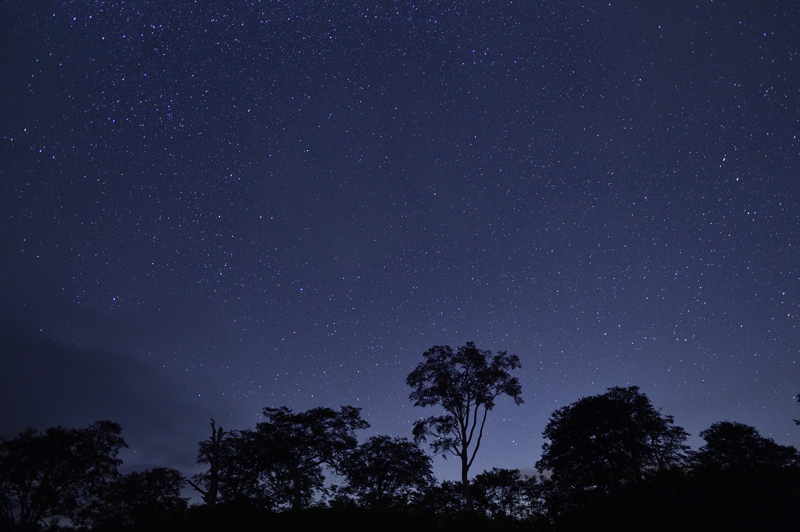 星空