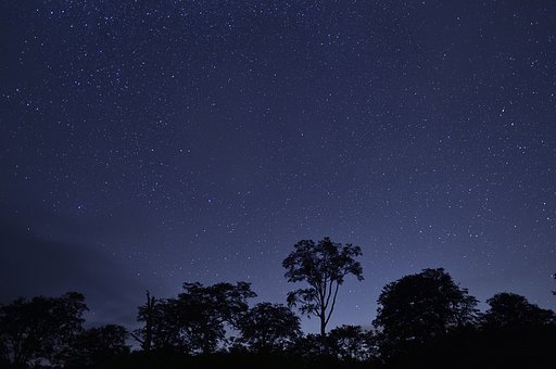 2月27日の写真