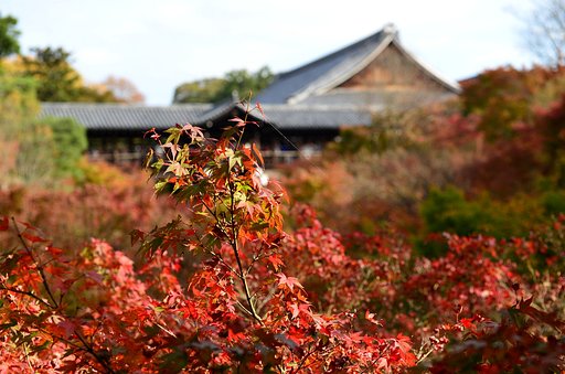 東福寺