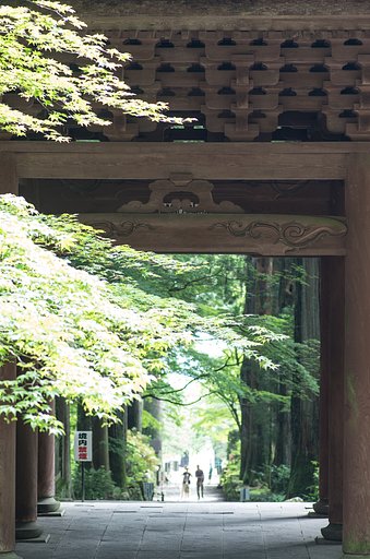高原でも【暑】い