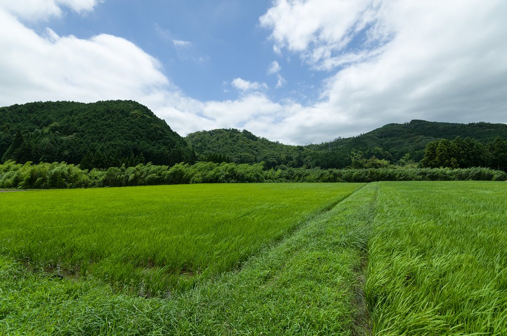 風