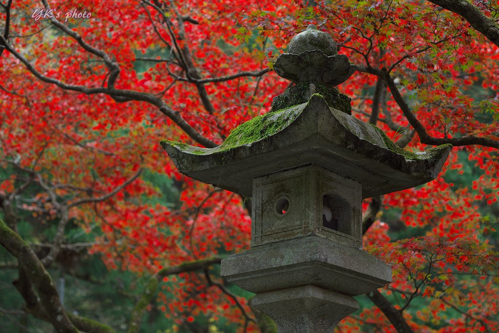 最乗寺にて