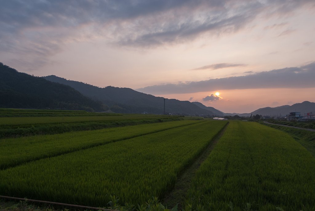 美しい夕焼けに!