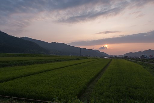 美しい夕焼けに!