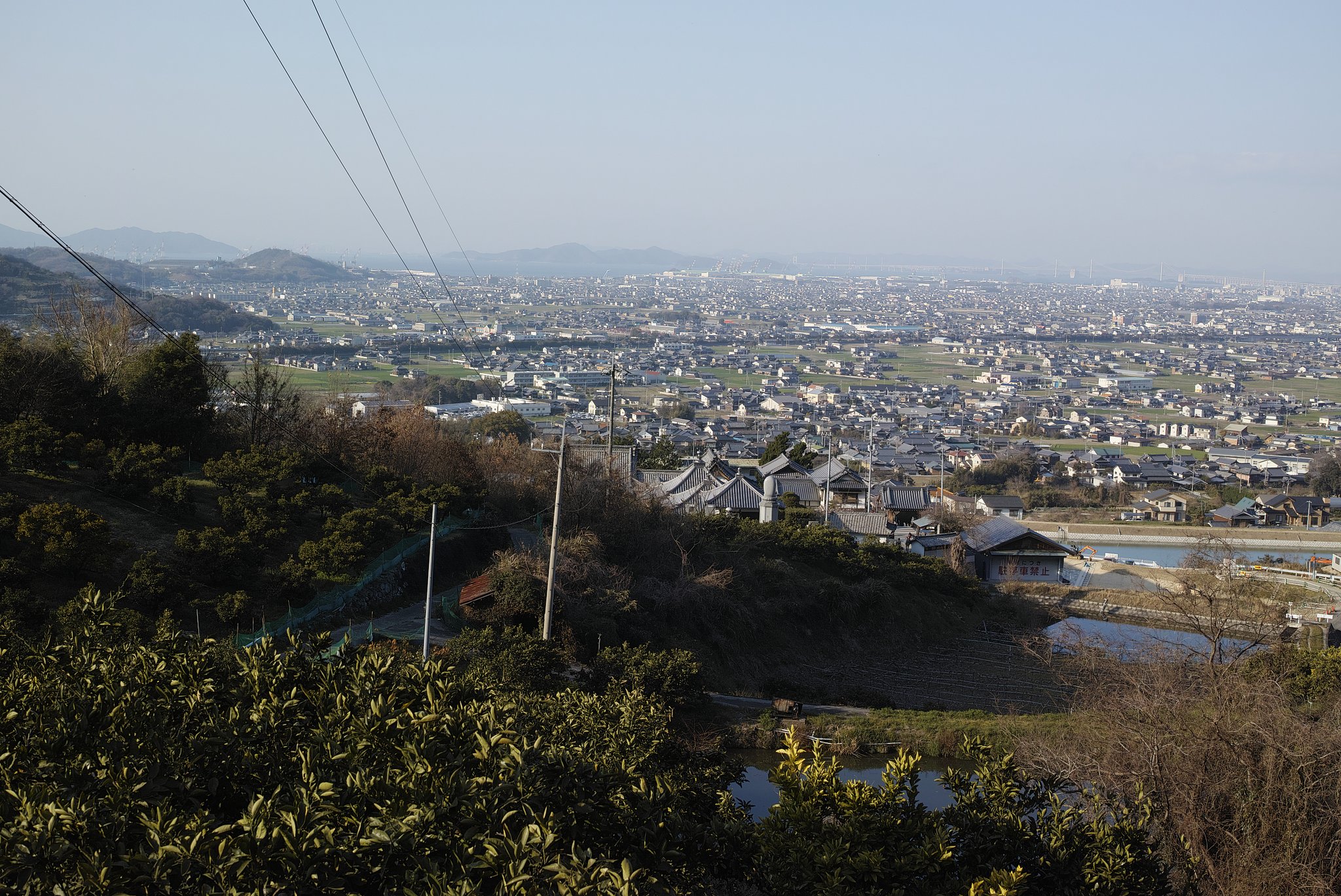 再度、RAW+LOW