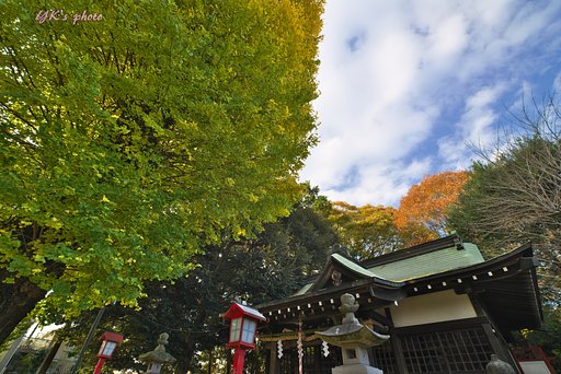 偵察に