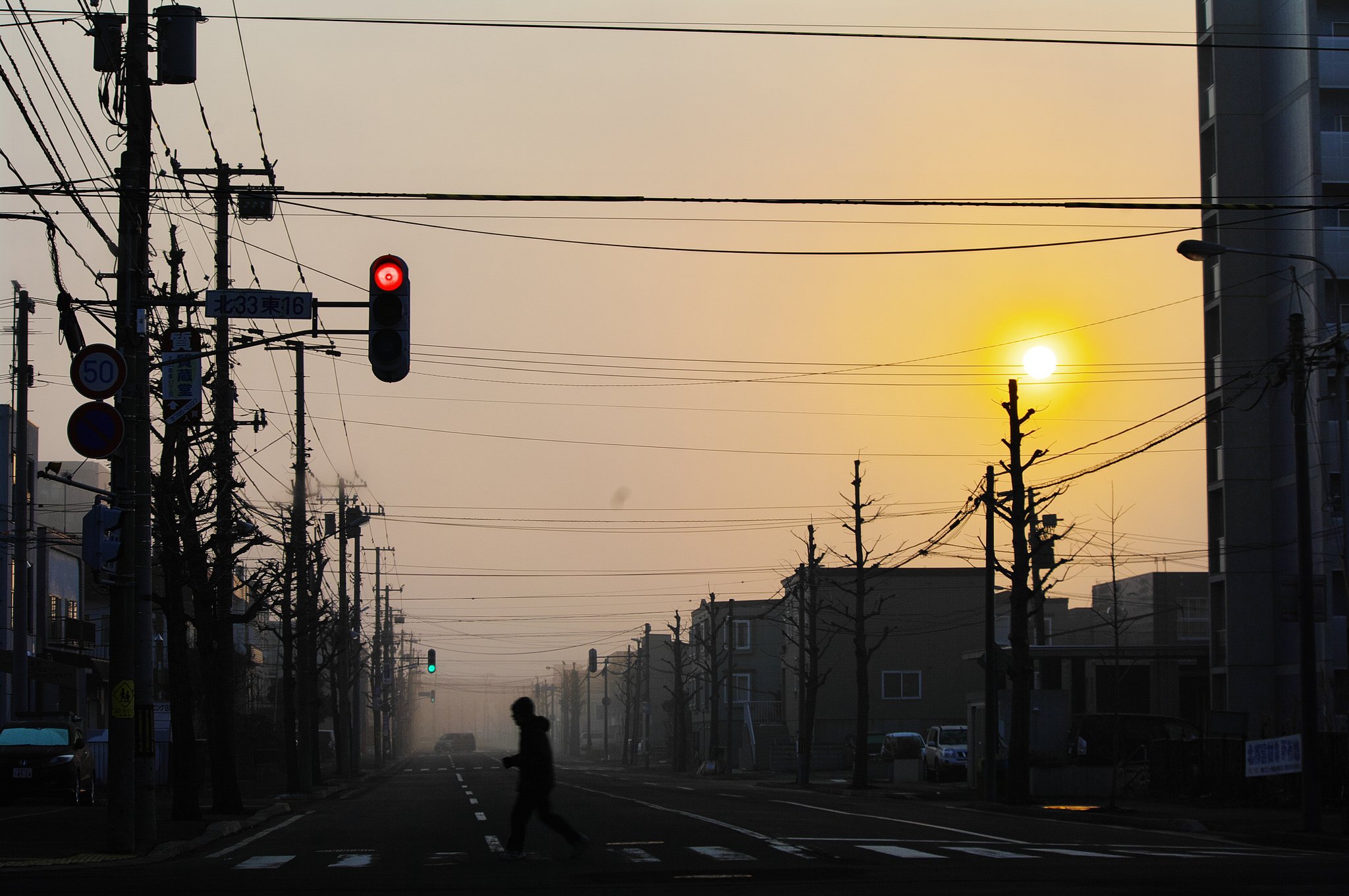 朝靄の中