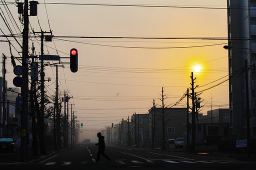 朝靄の中