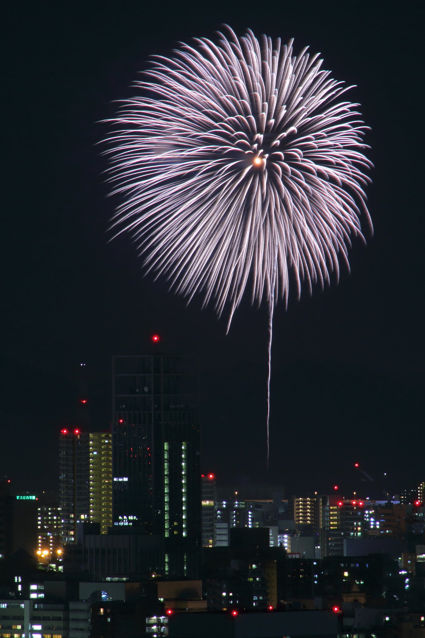 【暑】平和を願う花火「白菊」