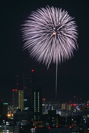 【暑】平和を願う花火「白菊」