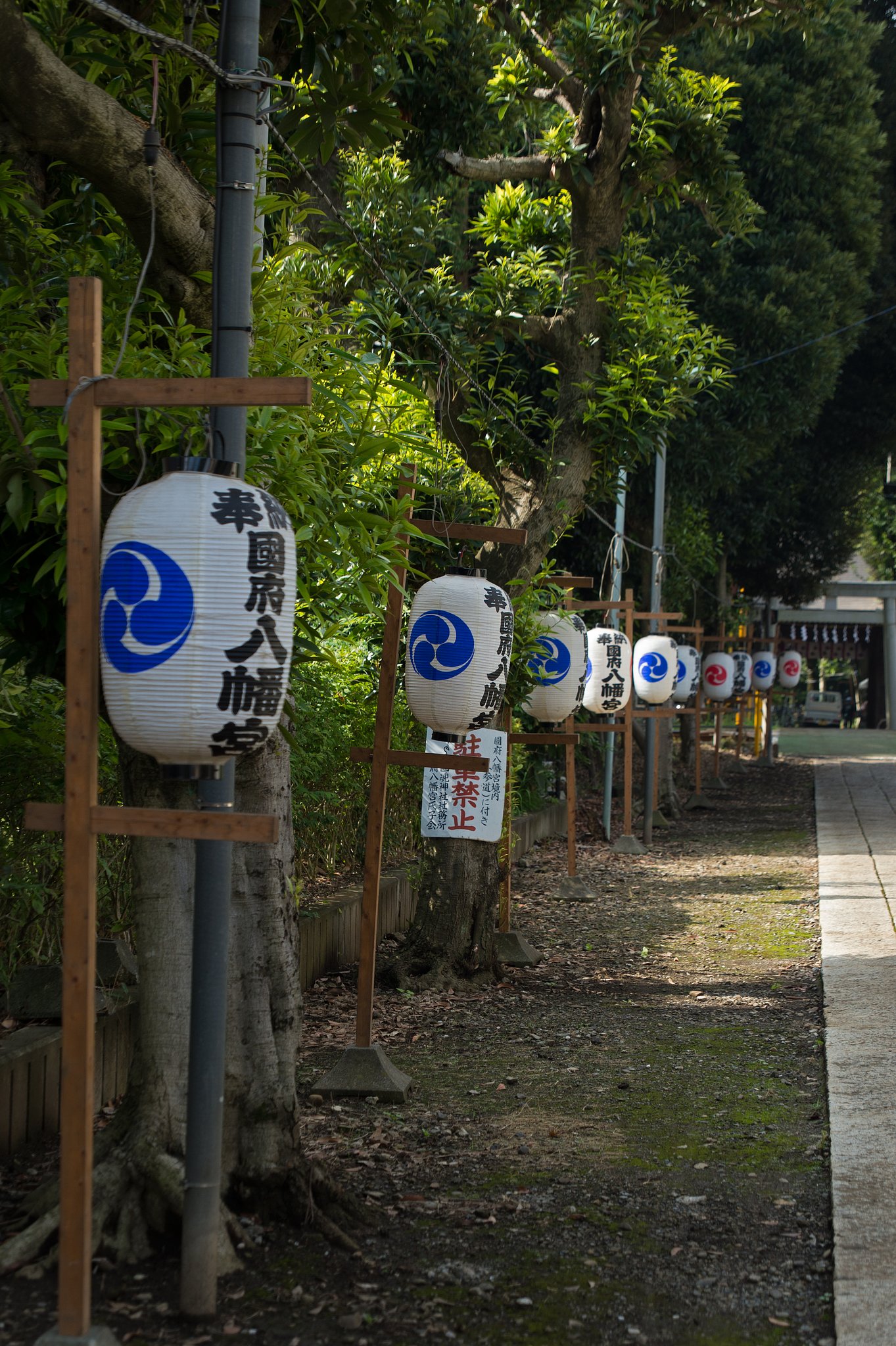 TAMRON 28-300mm F3.5-6.3 VC