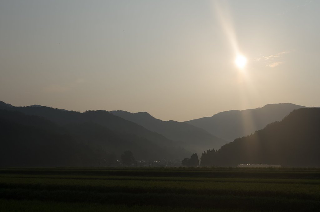 午後は雨降りに。