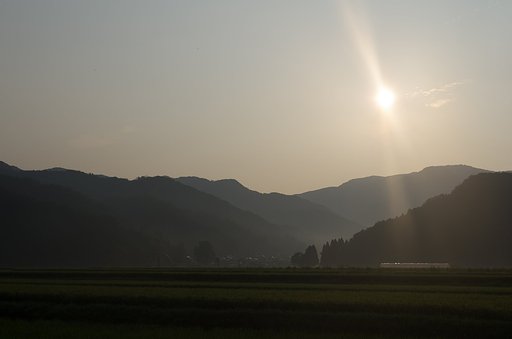 午後は雨降りに。