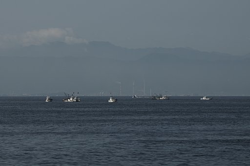 まどろみの海
