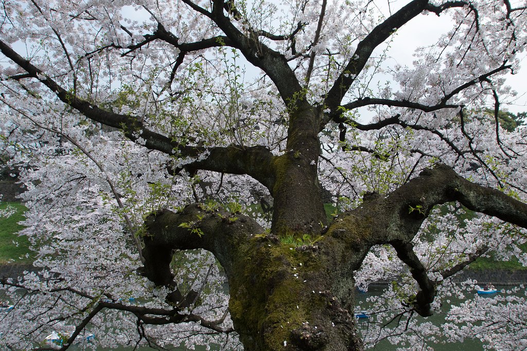 EF16-35mm F2.8 L