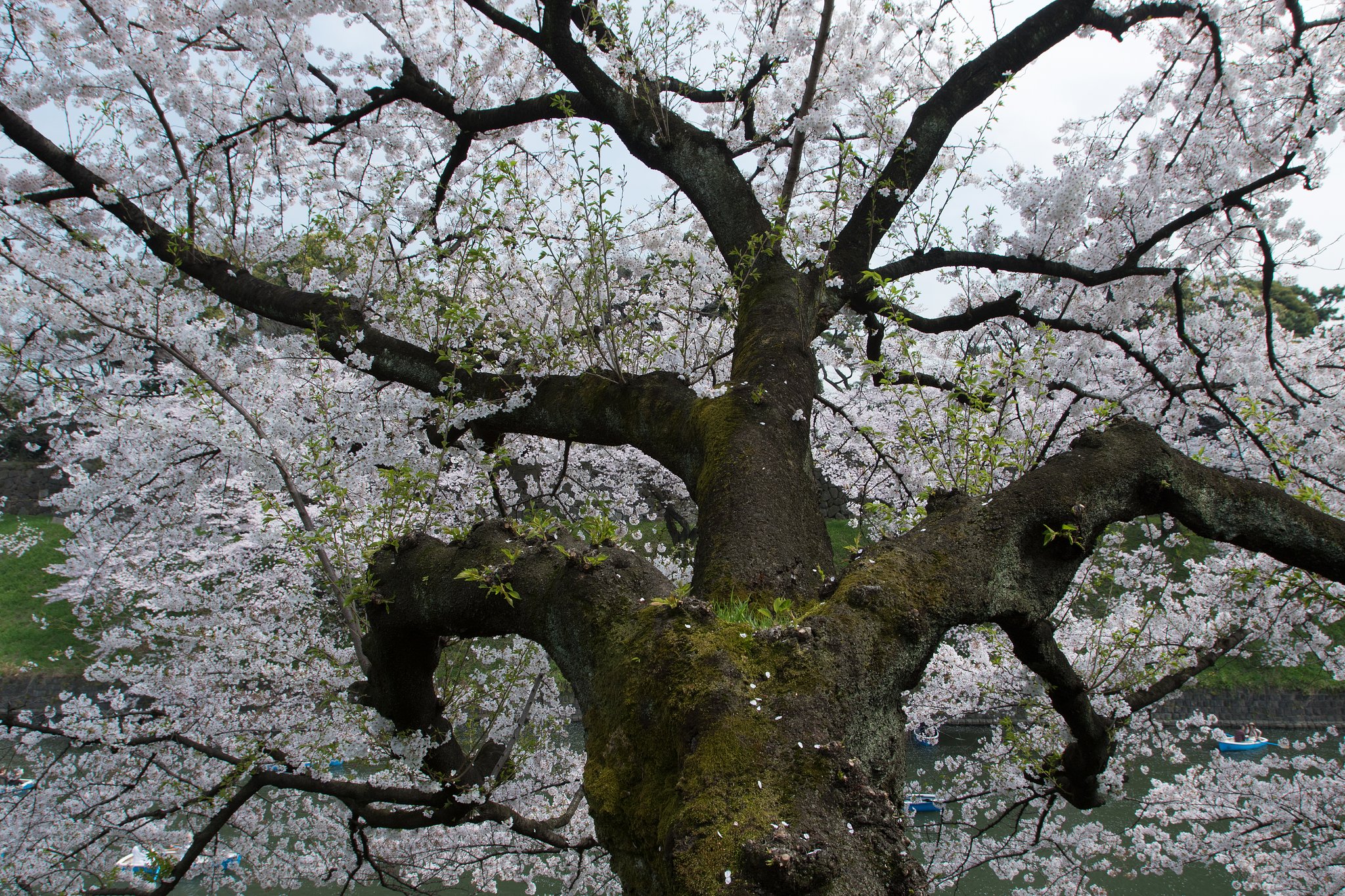 EF16-35mm F2.8 L