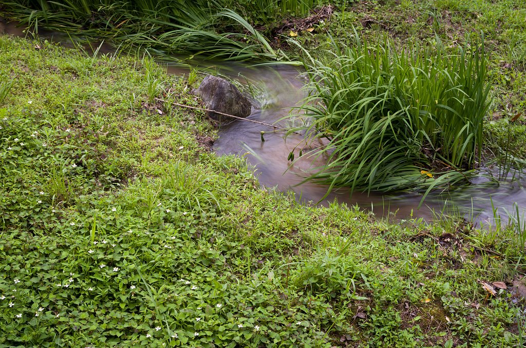 SIGMA 17-70mm F2.8-4 DC MACRO 