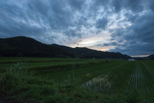 日没後!