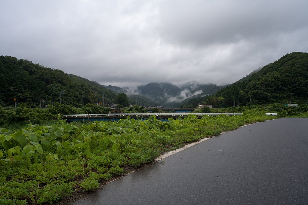 梅雨の朝!