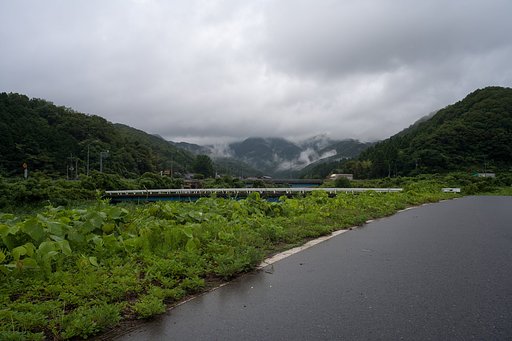 梅雨の朝!