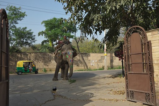 インドにて①