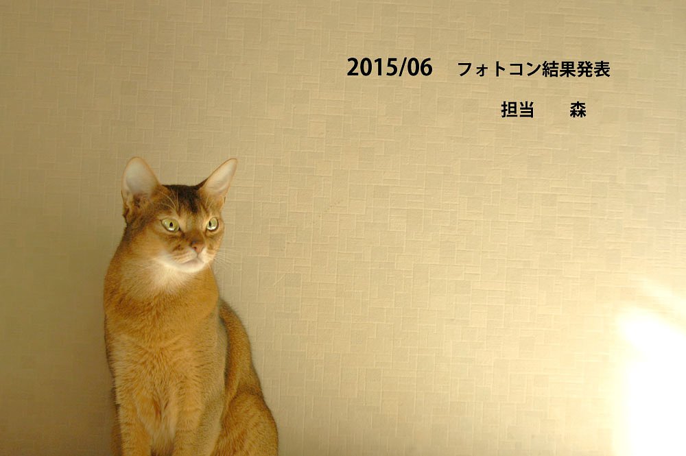 【フリー】2015/06　フォトコン結果の発表です。
