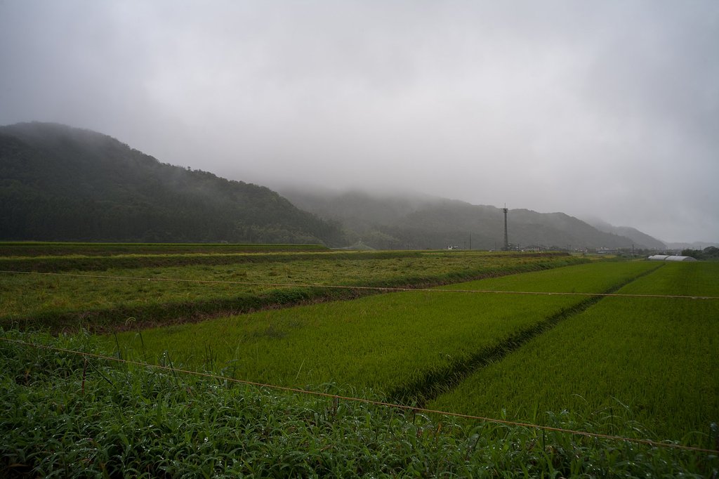 台風が通過!