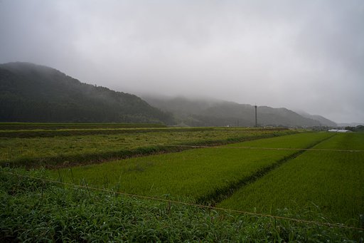 台風が通過!