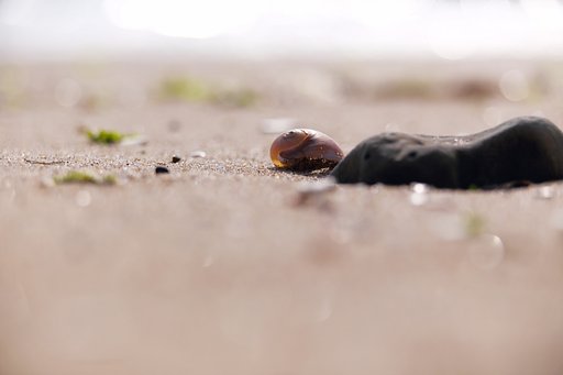 渚にて