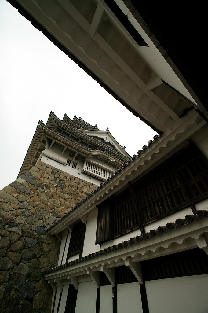 Y/C　D15mmF3.5