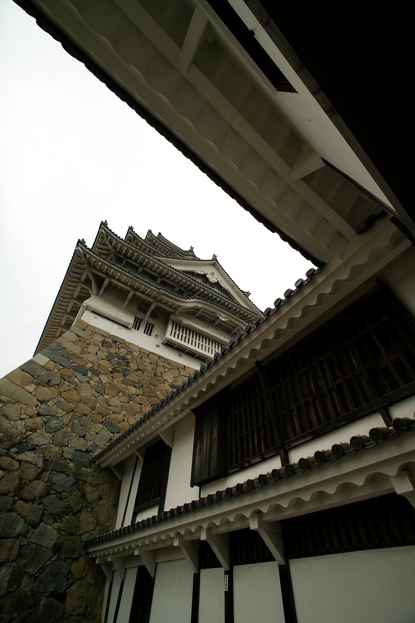 Y/C　D15mmF3.5