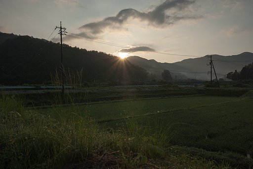 朝だけ晴れて・・。