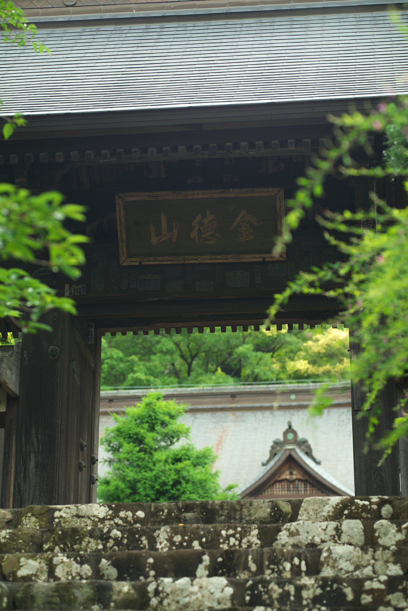 Otus 85mm F1.4 ZA