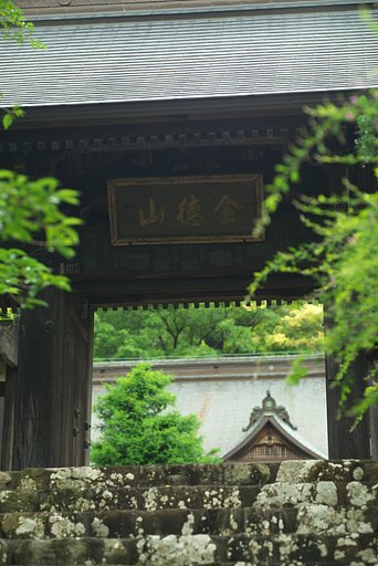 Otus 85mm F1.4 ZA