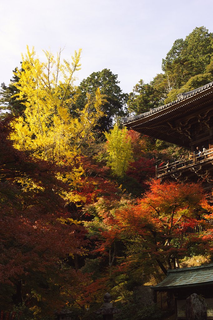 書写山圓教寺　紅葉模様
