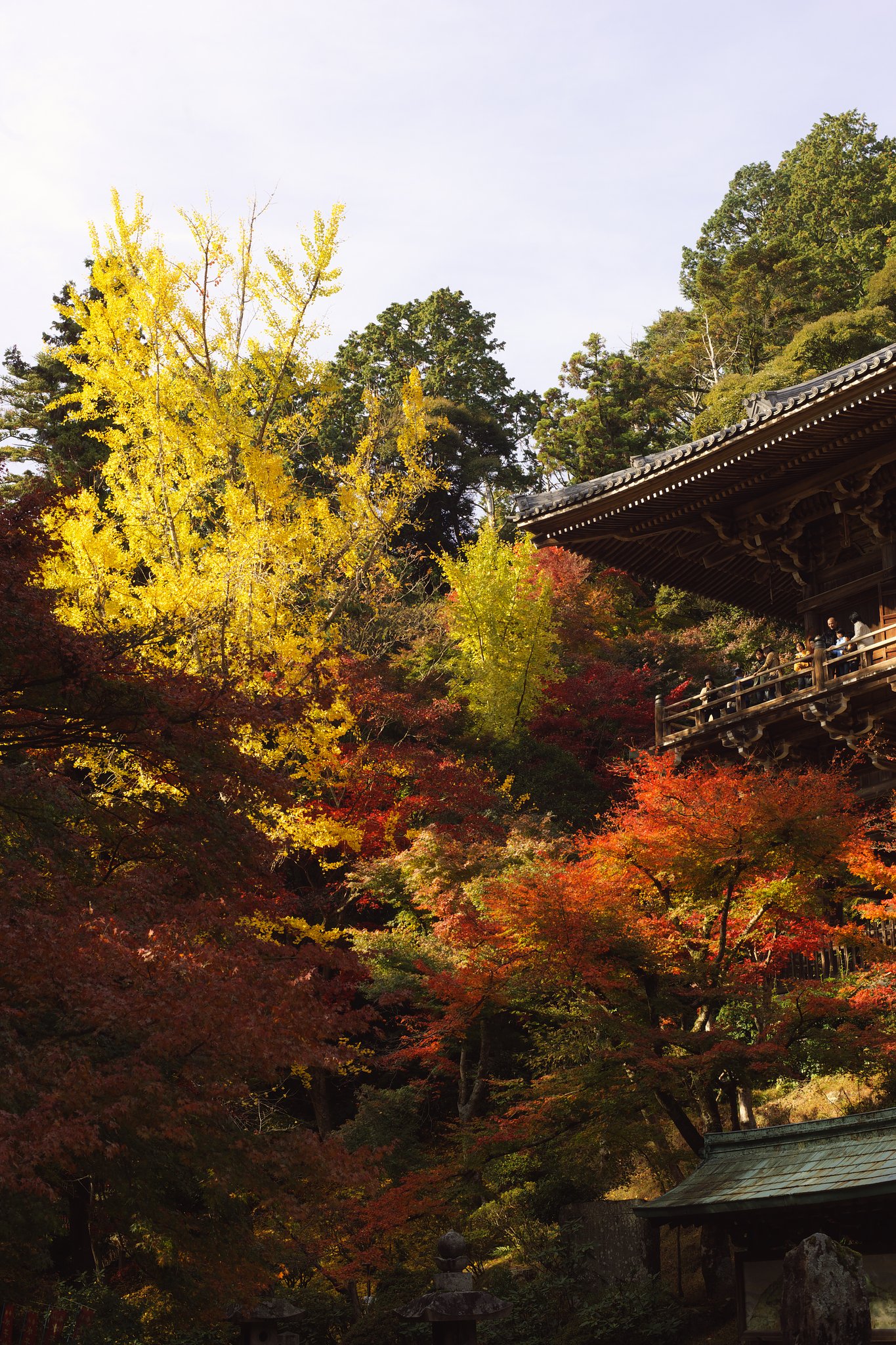 書写山圓教寺　紅葉模様
