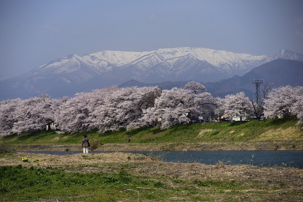 一目千本桜　２