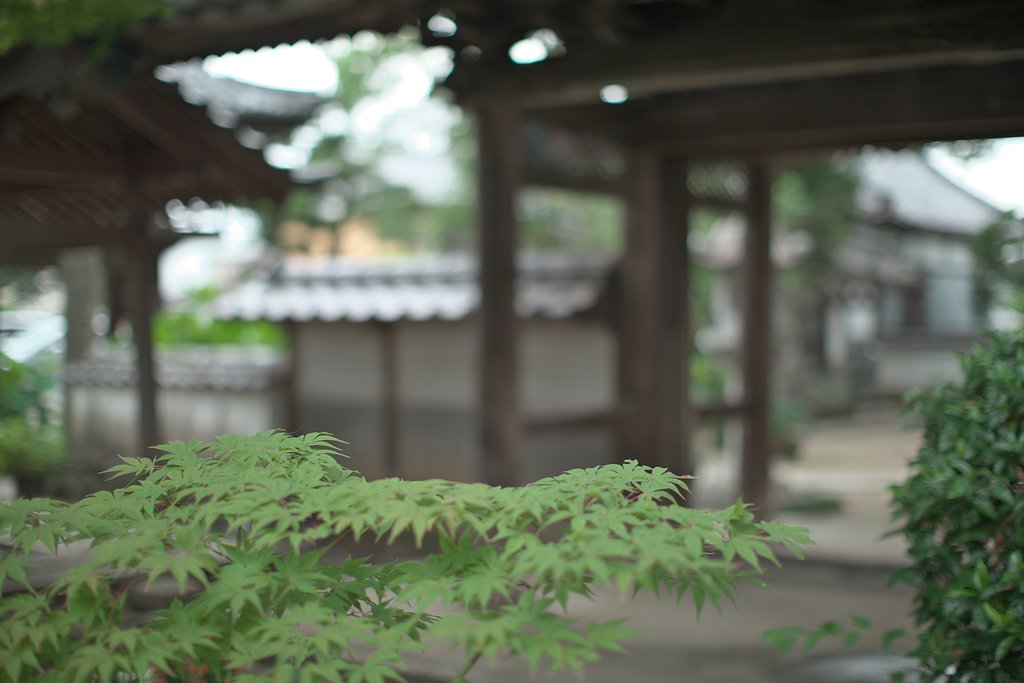 EF50 F1.2L