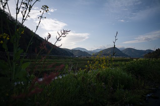 朝！